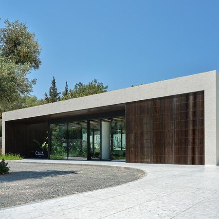 Caja By Maxx Royal Hotell Bodrum Exteriör bild
